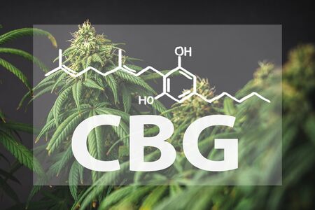 What is CBG ?