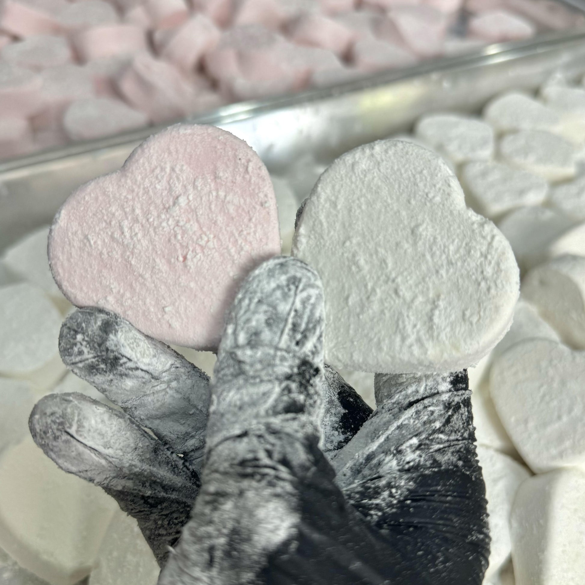 Marshmallove Clement Niel - Chocolatier