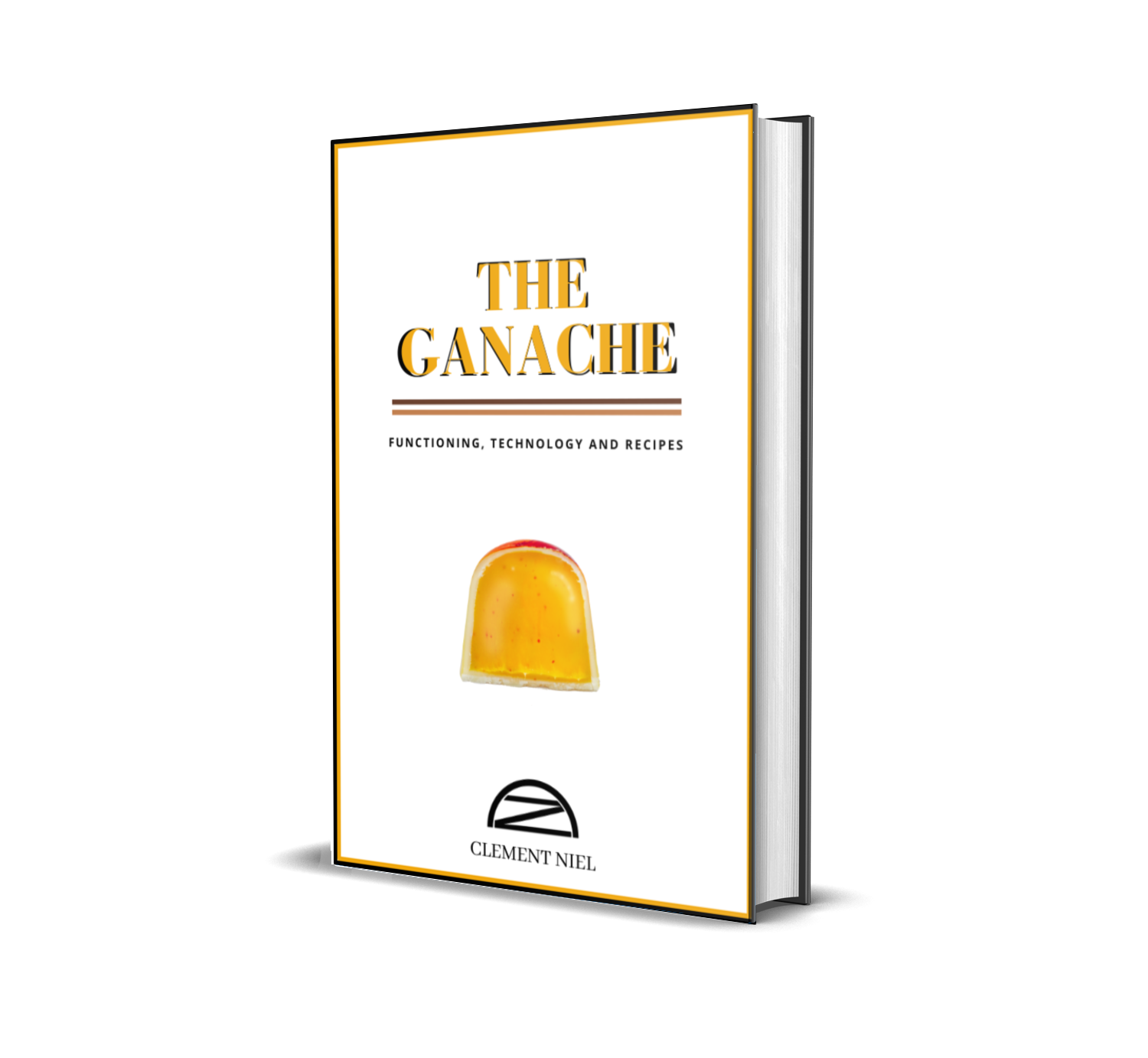 The ganache mockup book